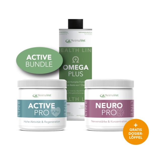 Active Bundle – perfekt für aktive Hunde, Hundesportler und Hunde im Training