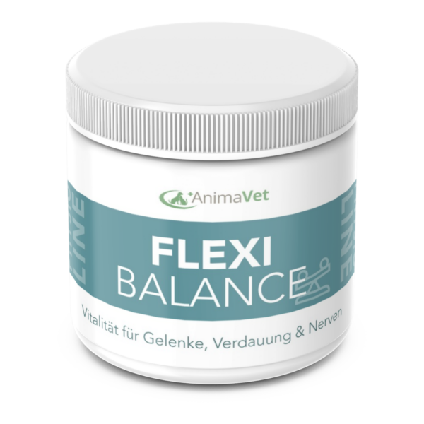 AnimaVet – Flexi Balance Aktivierung des gesamten Organismus