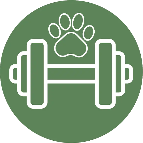 Kurse im AnimaVet® Gesundheitsclub für Hunde